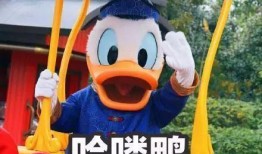 娱乐鸭娱乐吃瓜君,揭秘娱乐圈最新热点事件